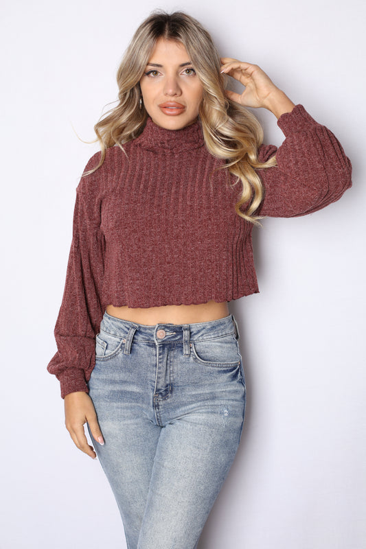 Ribbed Burgundy Turtle Neck Crop Top