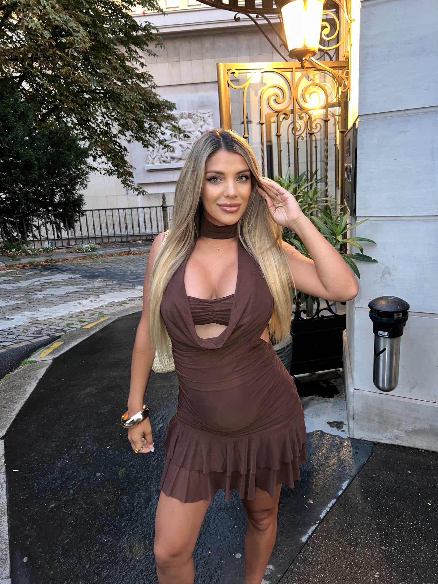 Brown Collar Cowl Neck Dress